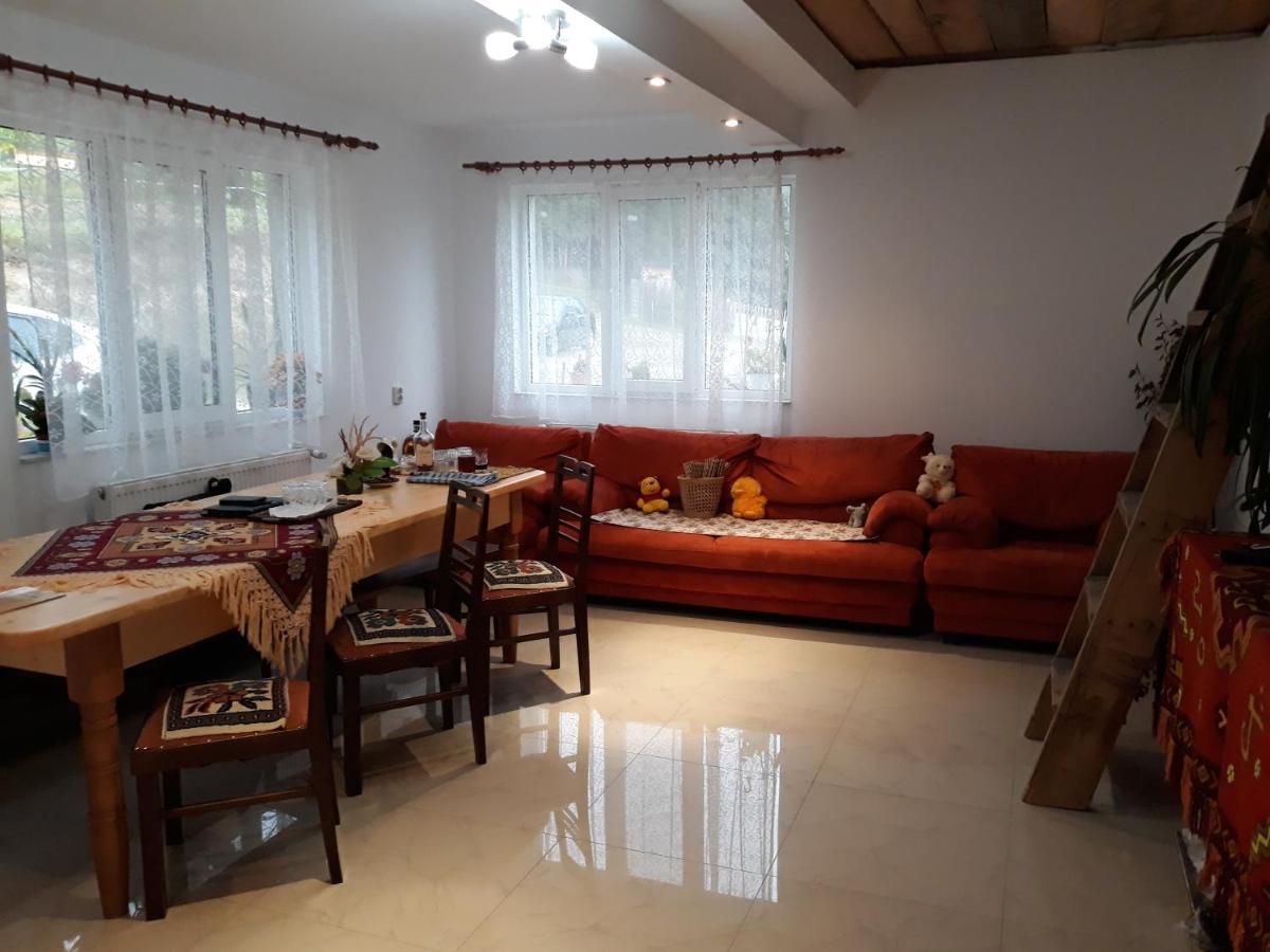 مبيت وإفطار Colibiţa Casa Geanina المظهر الخارجي الصورة