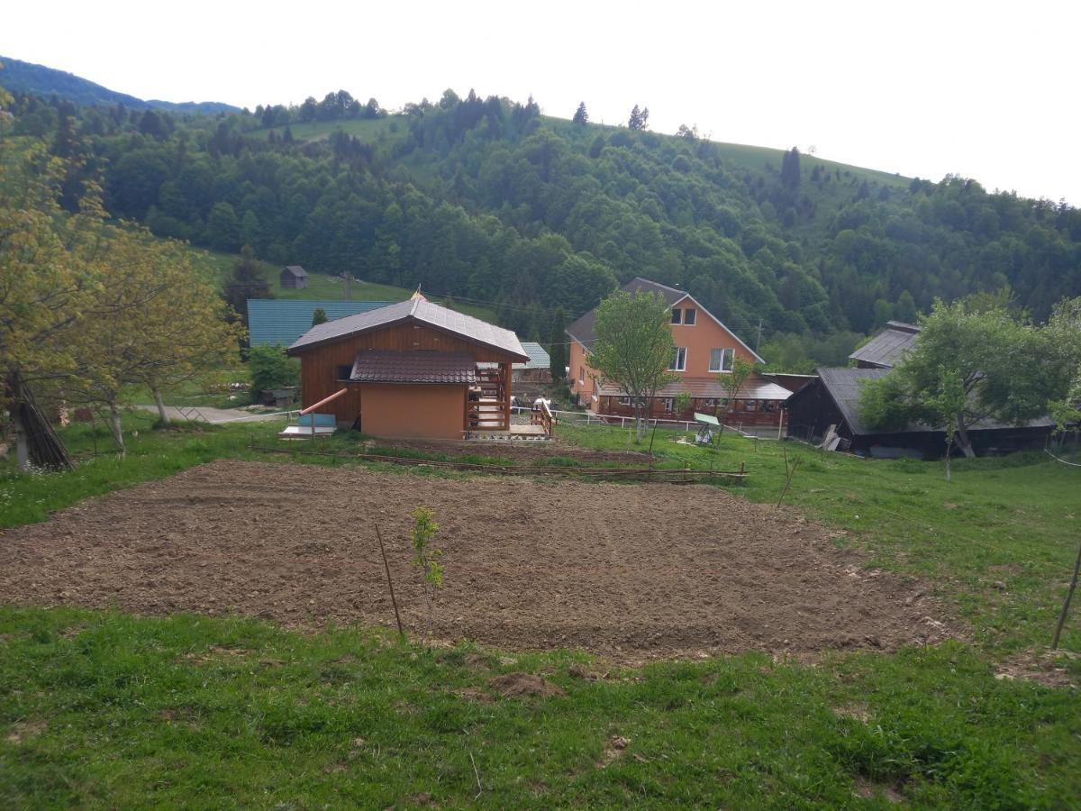 مبيت وإفطار Colibiţa Casa Geanina المظهر الخارجي الصورة
