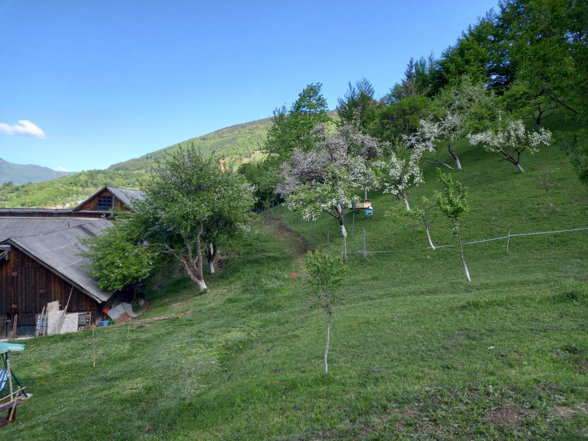 مبيت وإفطار Colibiţa Casa Geanina المظهر الخارجي الصورة