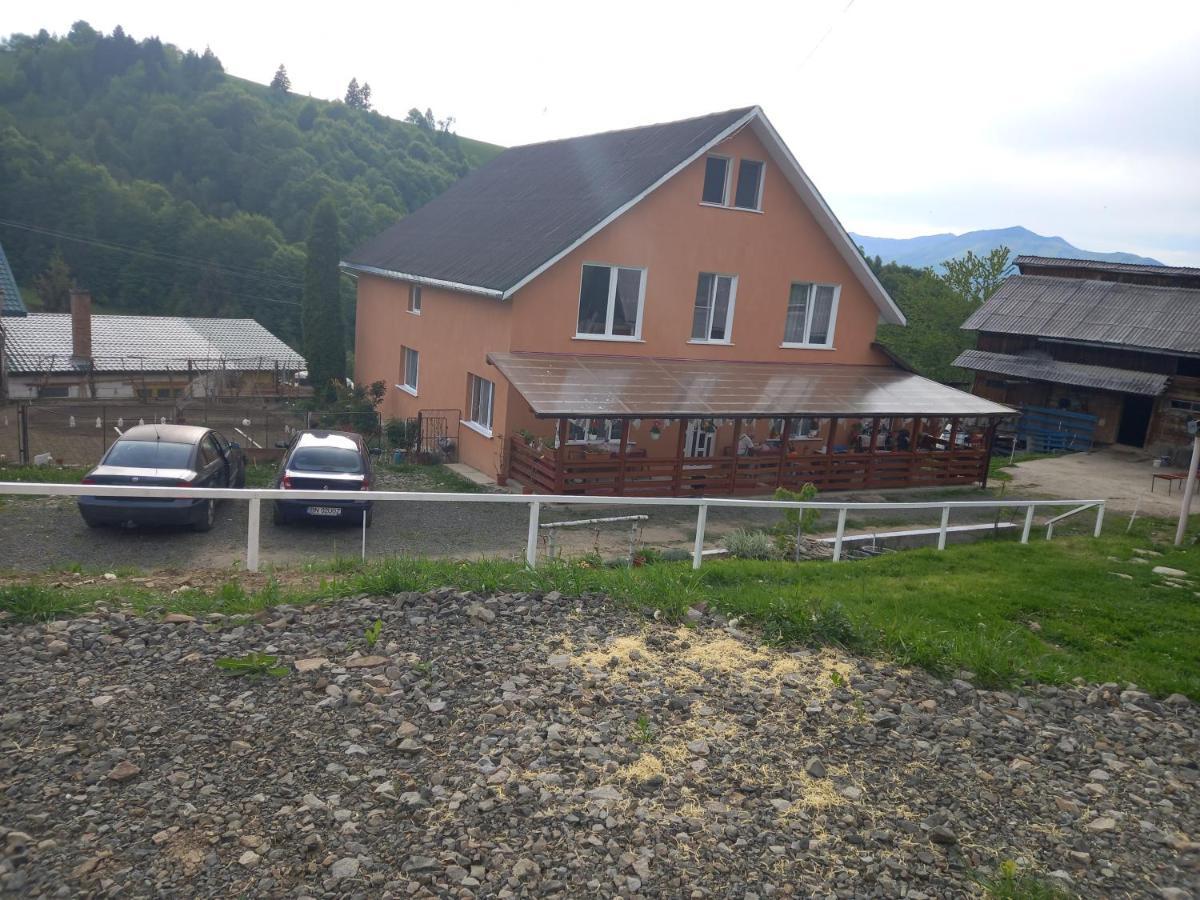 مبيت وإفطار Colibiţa Casa Geanina المظهر الخارجي الصورة