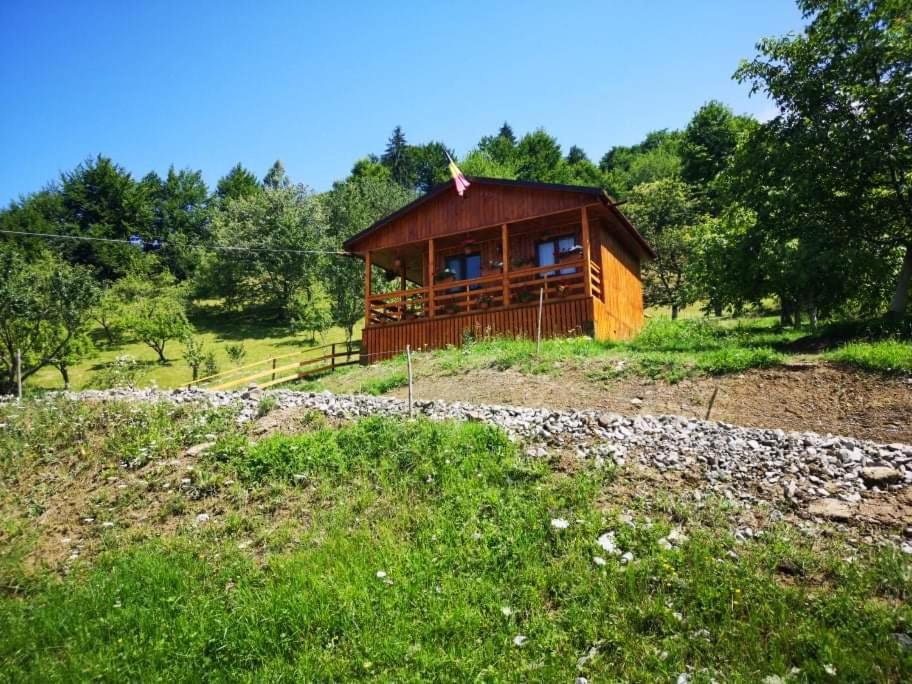 مبيت وإفطار Colibiţa Casa Geanina المظهر الخارجي الصورة