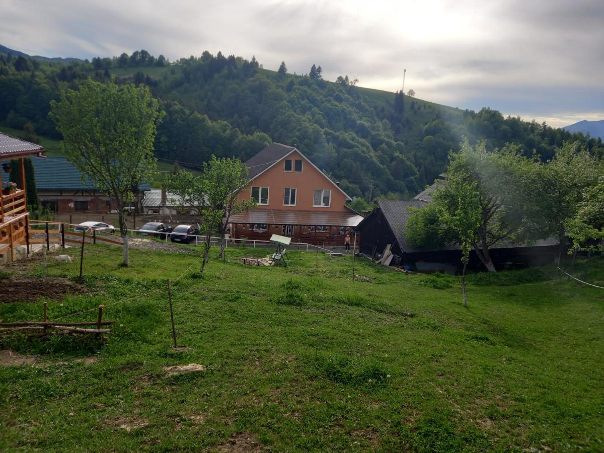 مبيت وإفطار Colibiţa Casa Geanina المظهر الخارجي الصورة