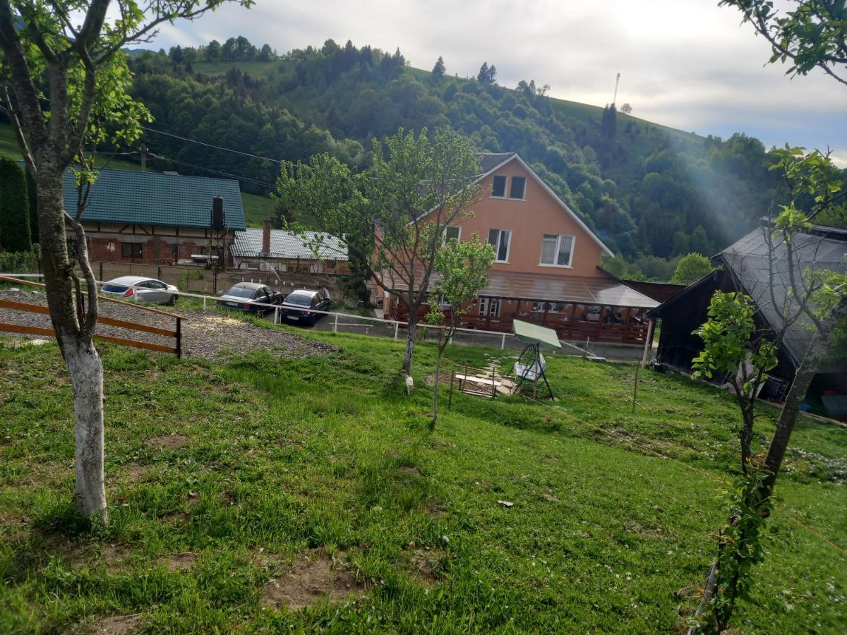 مبيت وإفطار Colibiţa Casa Geanina المظهر الخارجي الصورة