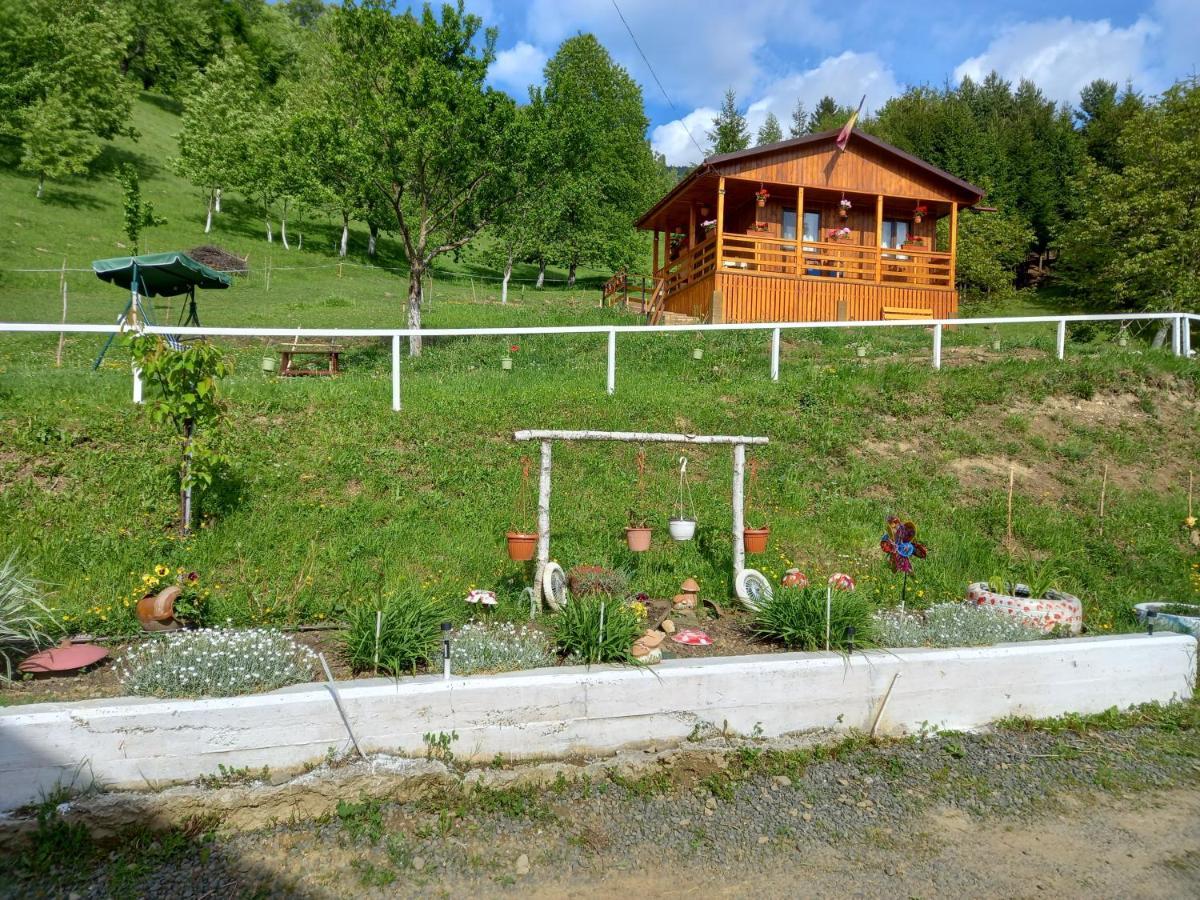 مبيت وإفطار Colibiţa Casa Geanina المظهر الخارجي الصورة