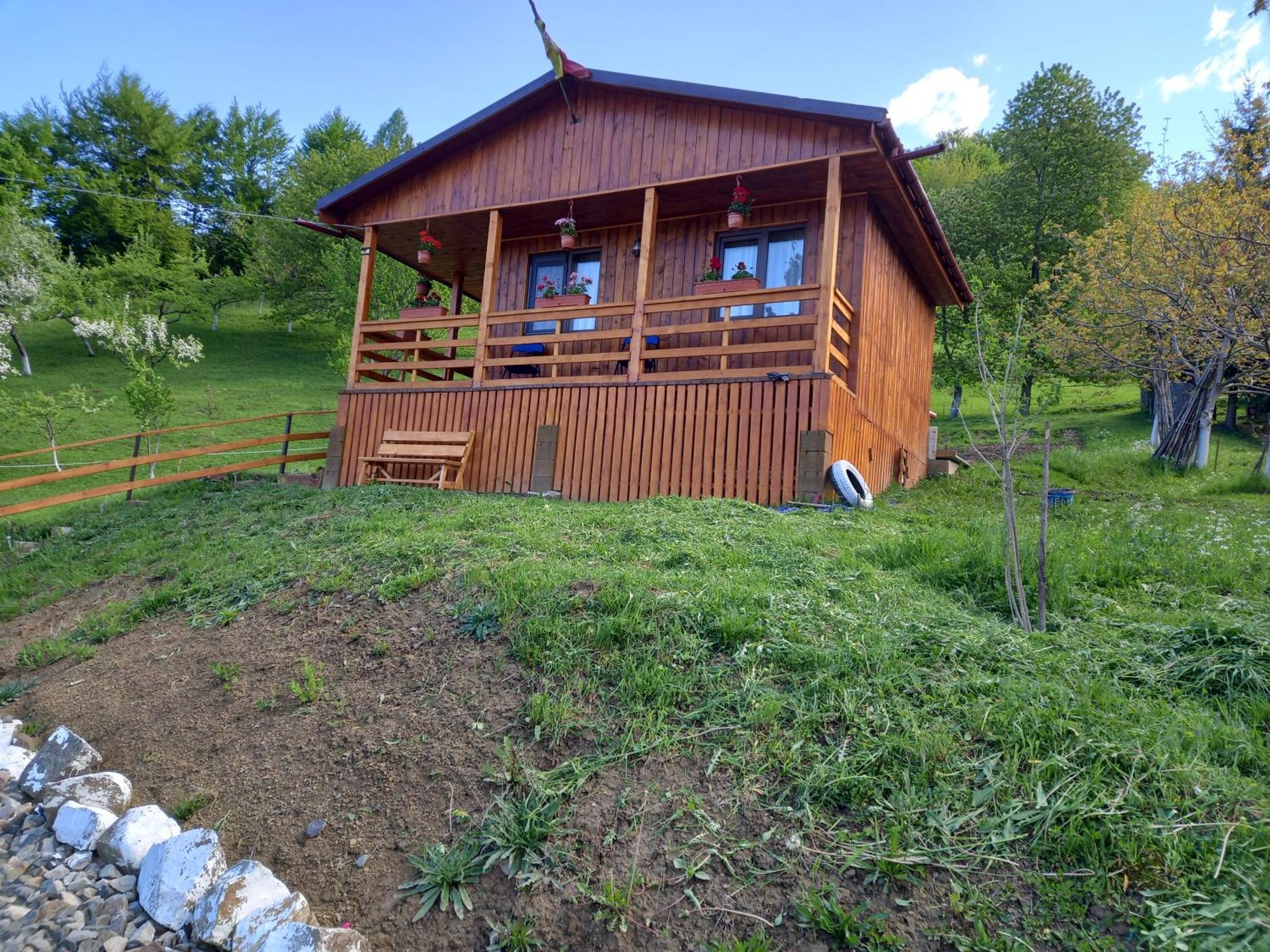 مبيت وإفطار Colibiţa Casa Geanina المظهر الخارجي الصورة