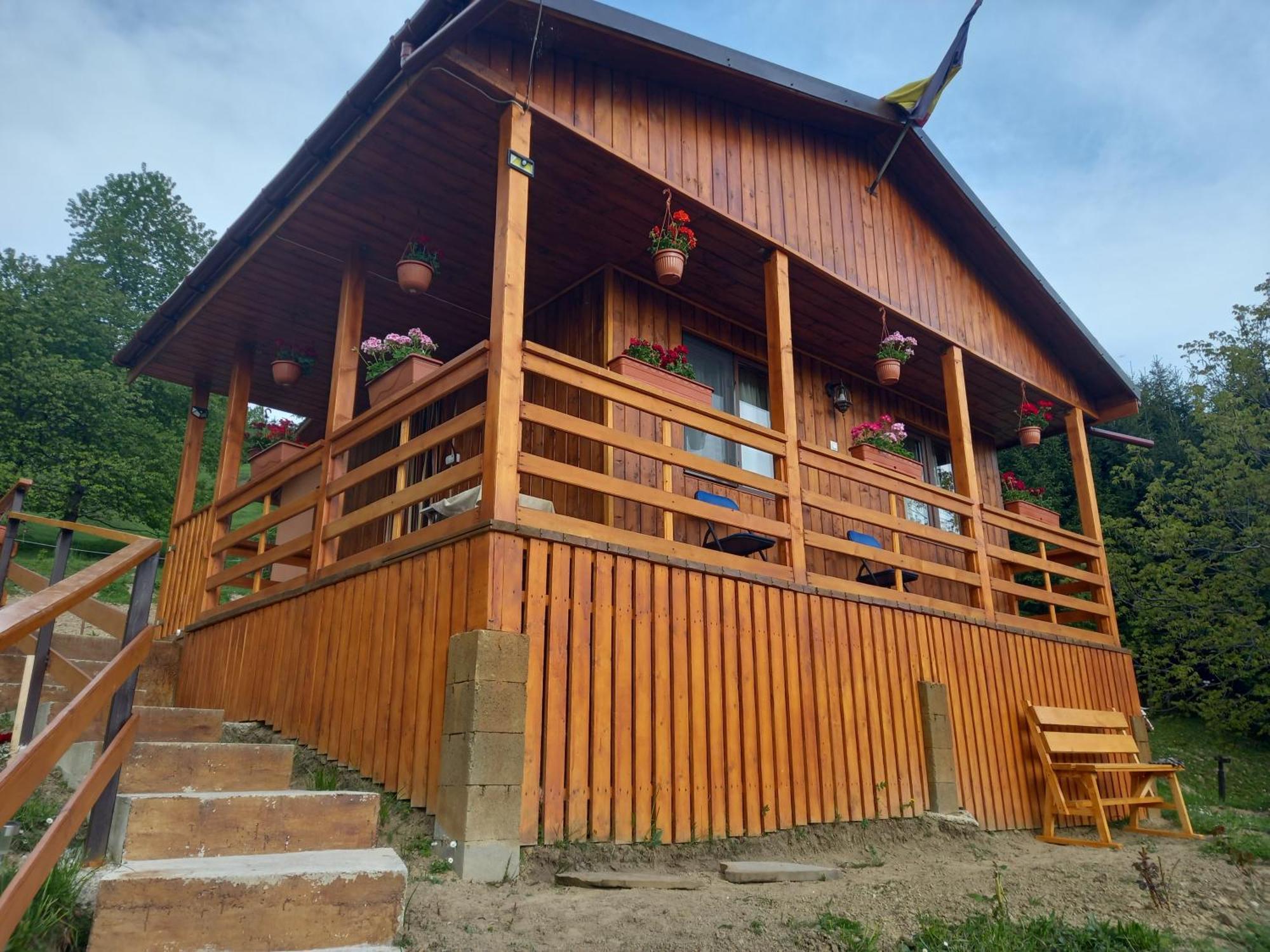 مبيت وإفطار Colibiţa Casa Geanina المظهر الخارجي الصورة