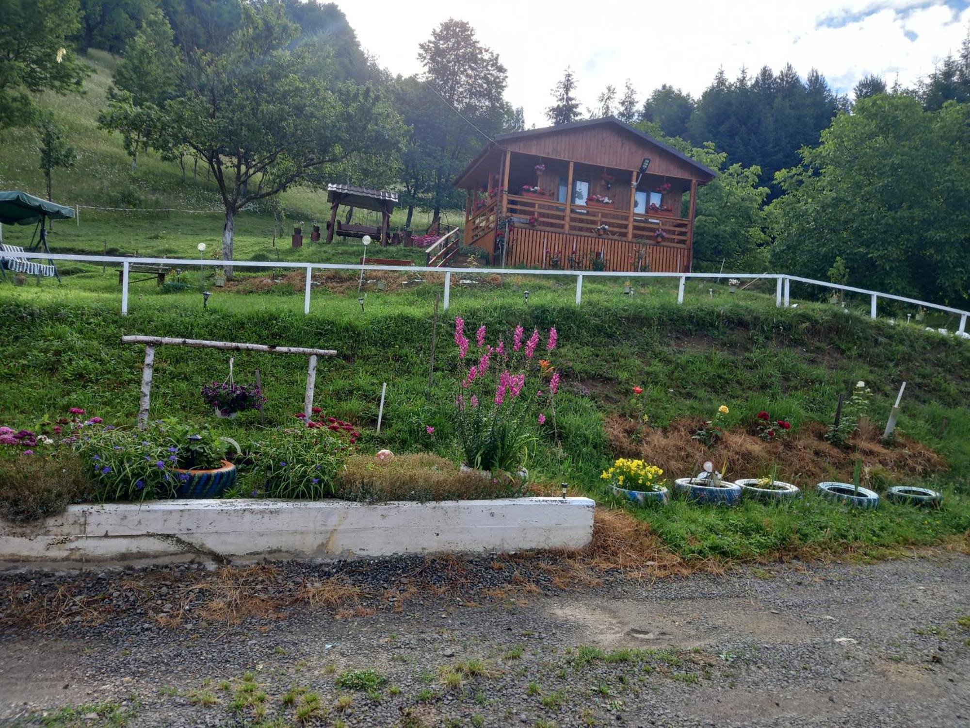 مبيت وإفطار Colibiţa Casa Geanina المظهر الخارجي الصورة