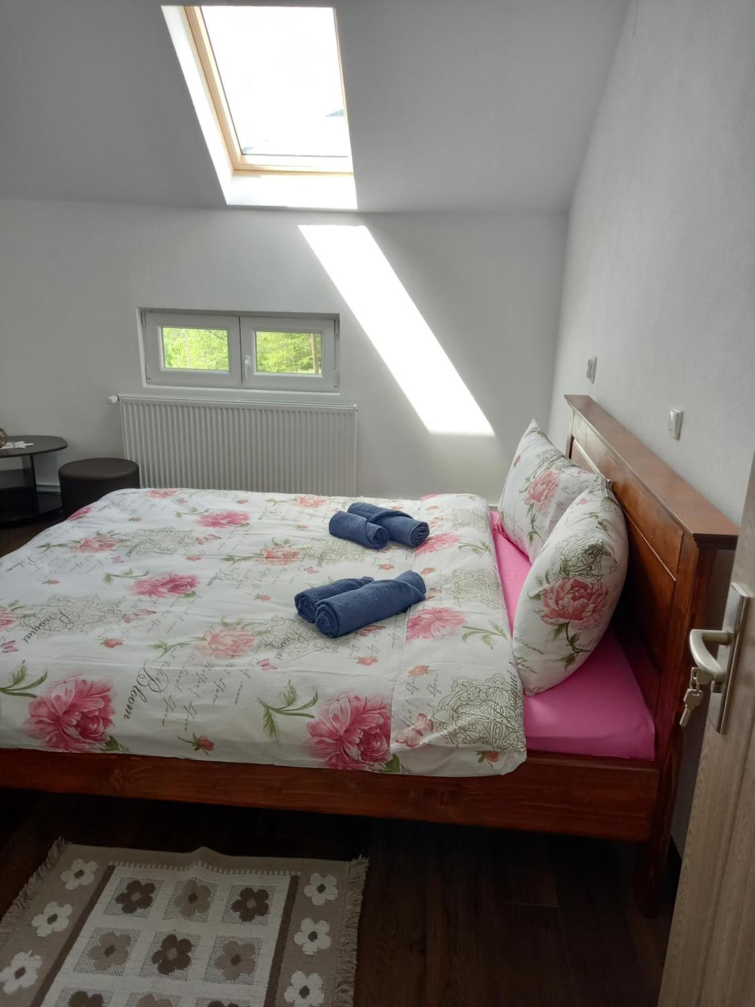 مبيت وإفطار Colibiţa Casa Geanina المظهر الخارجي الصورة