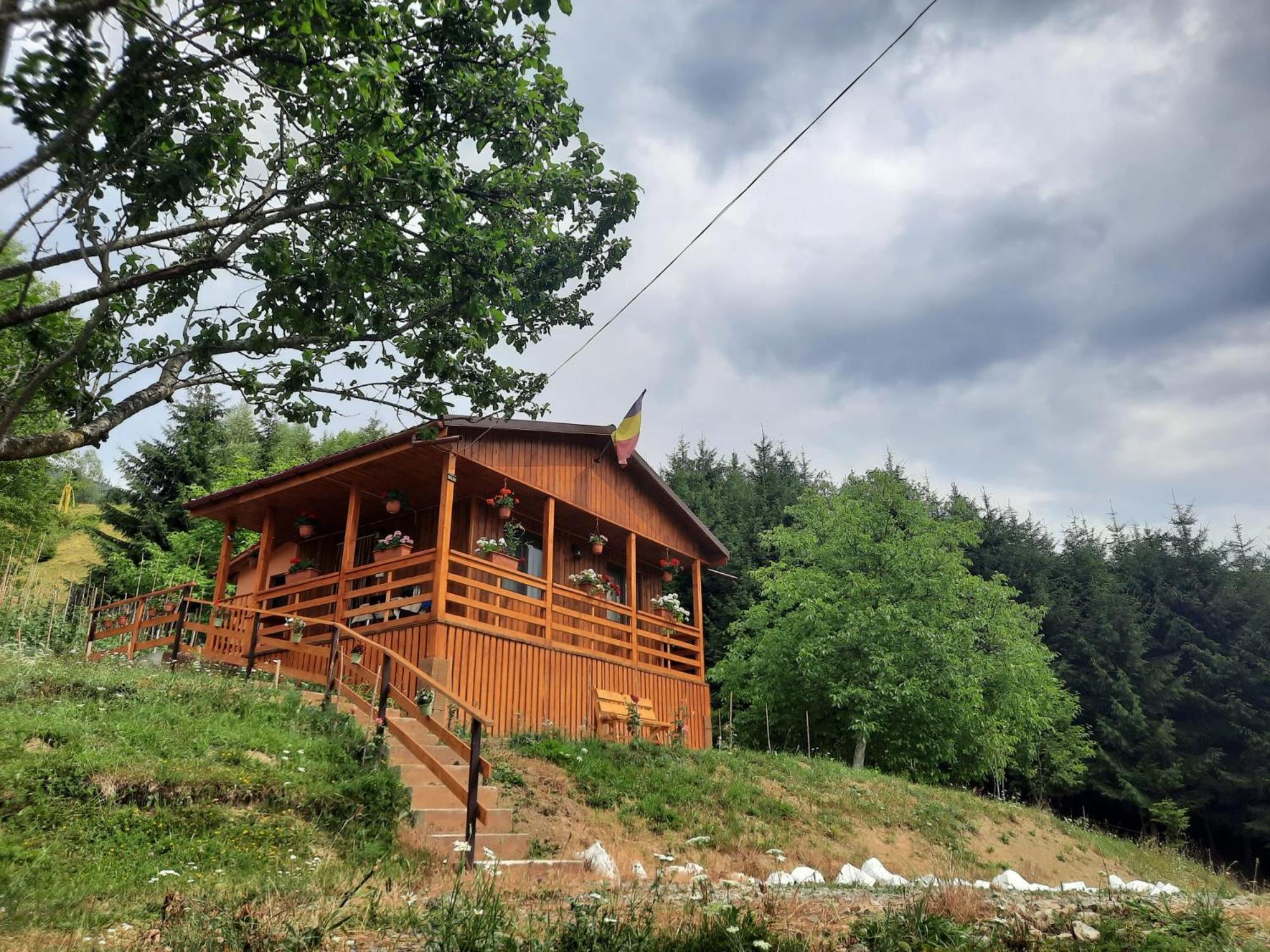 مبيت وإفطار Colibiţa Casa Geanina المظهر الخارجي الصورة