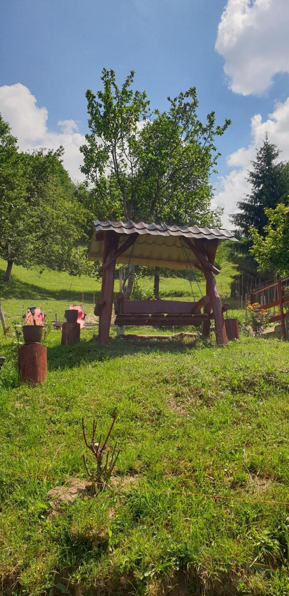 مبيت وإفطار Colibiţa Casa Geanina المظهر الخارجي الصورة