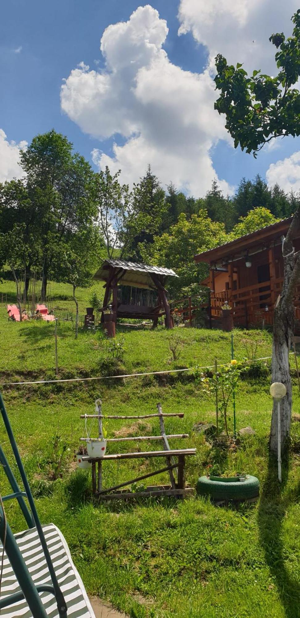 مبيت وإفطار Colibiţa Casa Geanina المظهر الخارجي الصورة