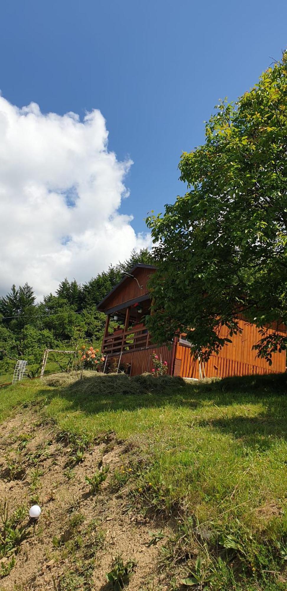 مبيت وإفطار Colibiţa Casa Geanina المظهر الخارجي الصورة