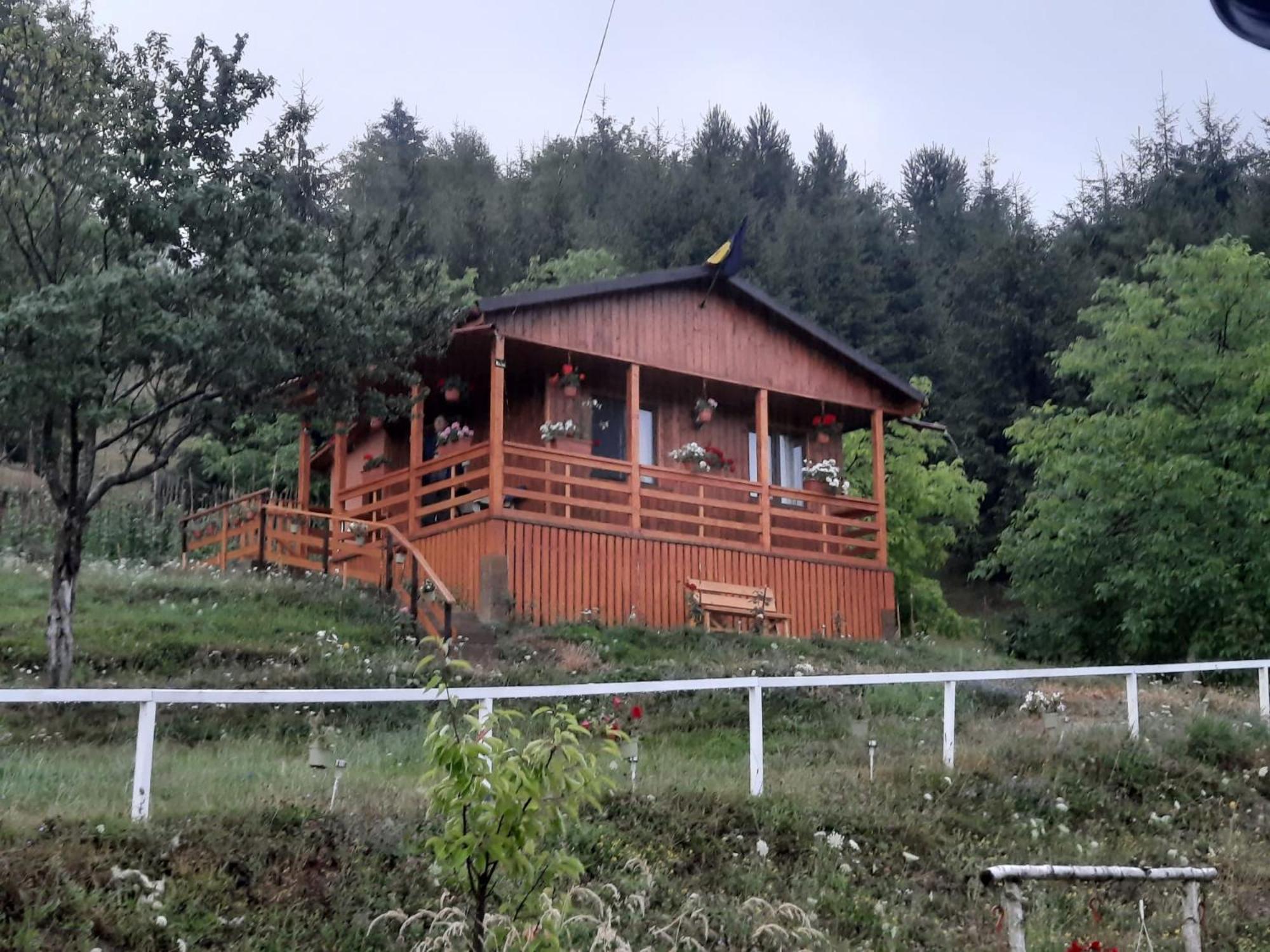 مبيت وإفطار Colibiţa Casa Geanina المظهر الخارجي الصورة