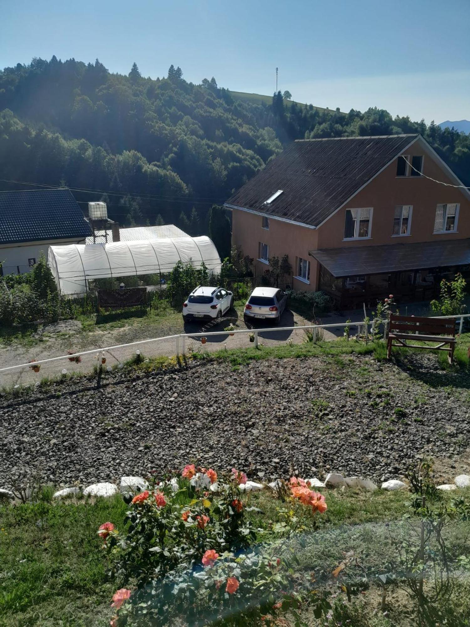 مبيت وإفطار Colibiţa Casa Geanina المظهر الخارجي الصورة